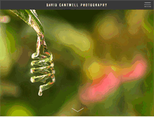 Tablet Screenshot of davidcantwellphotography.com